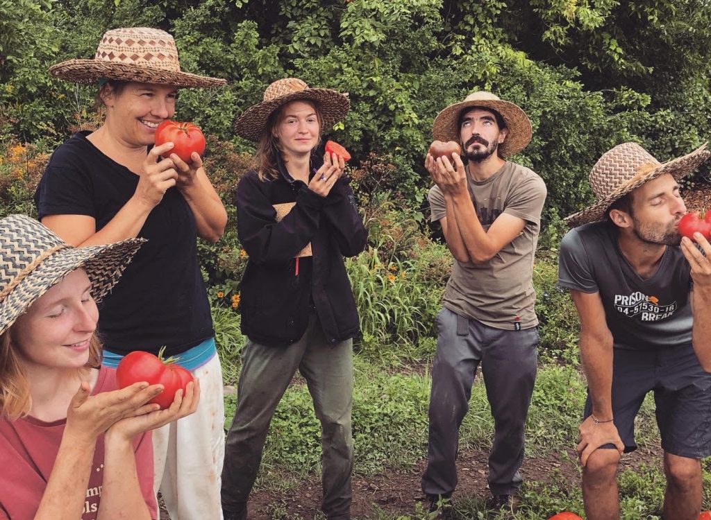 5 membres de l'équipe de Terre Promise qui tiennent des tomates rouges