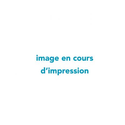 en cours d’impression 600 en cours d'impression 600