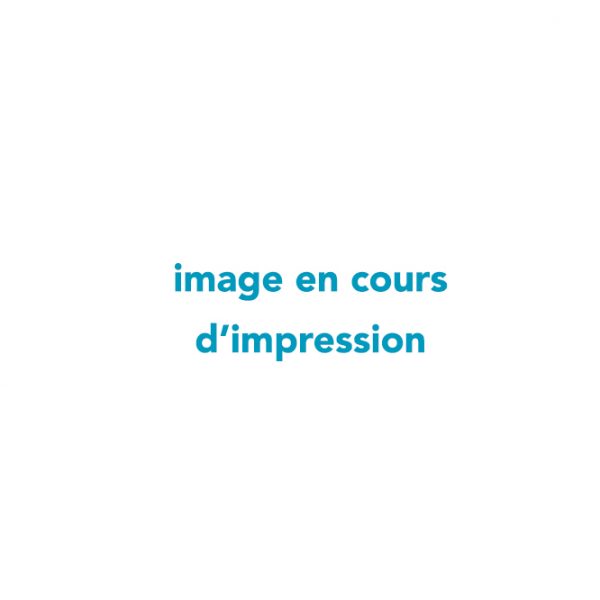 en cours d’impression 600 en cours d'impression 600